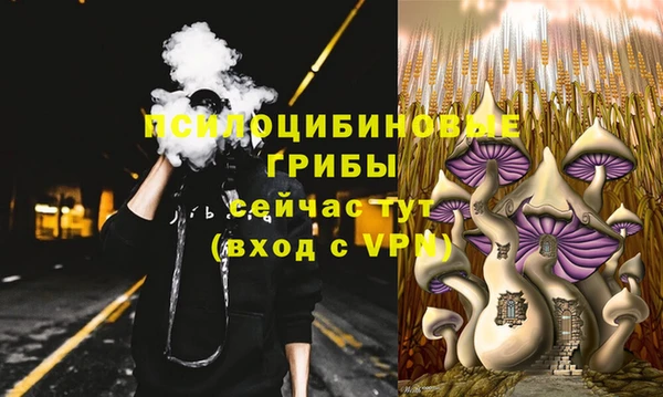 прущая мука Вяземский
