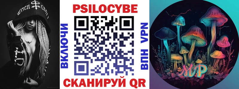 Купить Починок Галлюциногенные грибы Psilocybe